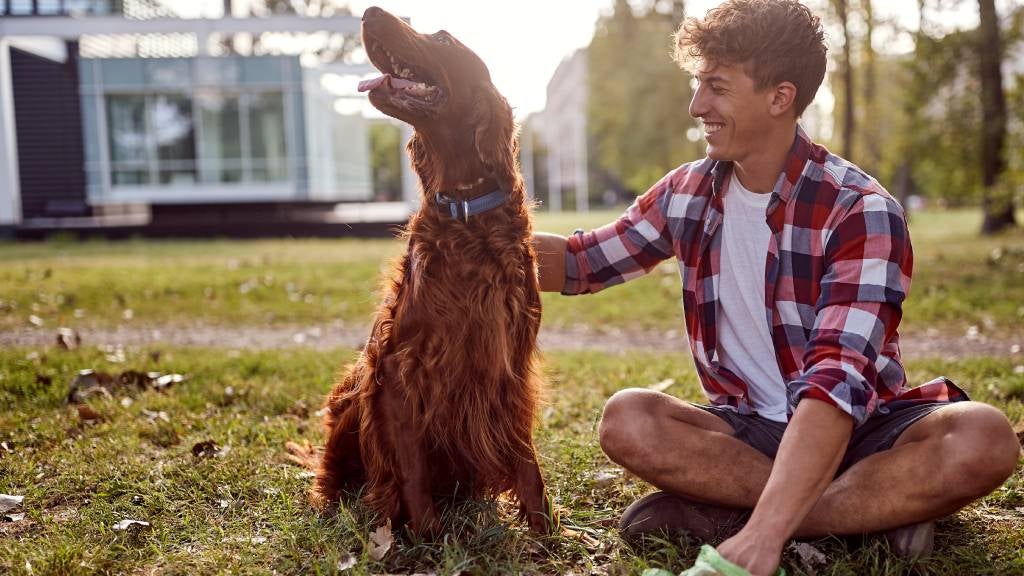 Eco-Friendly Pet Care: Sustainable Practices for Responsible Pet Owners